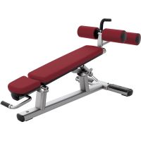 Banc abdominal/décliné SADB Life Fitness