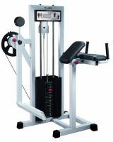 Standing gluteus GymWorks