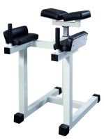 Gluteus hyperextension GymWorks
