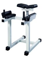 Hyperextension fessier GymWorks