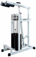 Standing calf GymWorks