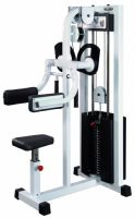 Lateral raise GymWorks