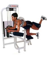 Fessier SL75 Life Fitness