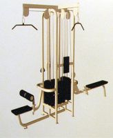 4 stack multi SM30 Life Fitness