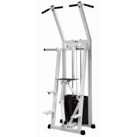 Assisted chin dips GymWorks