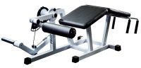 Leg curl GymWorks