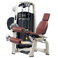 Leg curl M990 Technogym