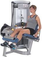 Quadriceps 12050 Cybex