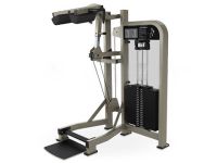 Standing calf PSSC Life Fitness
