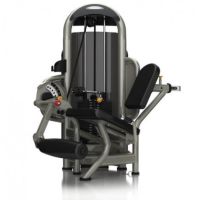 Quadriceps G3-S71 Matrix